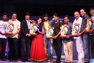 Seethamma Andaalu Raamayya Sithraalu Platinum Disc Function